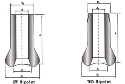Dimensiones de Nipolet